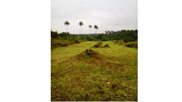 for sale sariaya